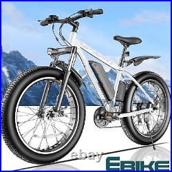 Ebike 26500W 48V/13A Electric Bike Mountain Bicycle Fat Tire All terrain E-bike