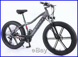 Ebike Electric Mountain Bike 26 FAT TIRE 4.0 Tire 48v 350w electric bike SALE