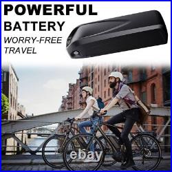 Ebike Hailong Lithium Battery 48V 13AH Electric Bicycle Battery with Fast Charger
