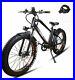 Electric Bicycle 26 750W Fat Tire Mountain EBike 6 Speeds Gear