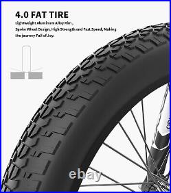 Electric Bike 20 500W 48V/15Ah Ebike Mountain Bicycle Fat Tire Full Suspension