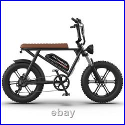 Electric Bike 20 750W 48V E Mountain Bicycle Fat Tire Ebike 7Speed for Adults