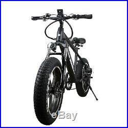 Electric Bike 20 Fat Tire E-Bike Shimano 6 Speed 300W 48V 8AH Lithium Battery