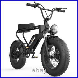 Electric Bike 20 Fat Tire Ebike Bicycle 1200W 48V 20Ah 30mph Freegoev DK200