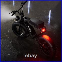 Electric Bike 20 Fat Tire Ebike Bicycle 1200W 48V 20Ah 30mph Freegoev DK200
