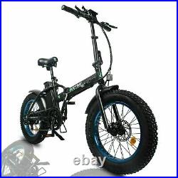 Electric Bike 48V 20 Fat Tire 500W Portable Folding LCD Road & Off Road E-bike