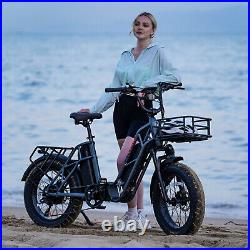 Electric Bike 750W 48V 20.8AH Color Display 4.0 Fat Tire Ebike for Adults Sonw