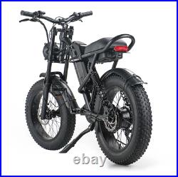 Electric Bike E-Bike 1000W 48V 15.6AH Adult Bicycles 20 Fat Tire Mountain Ebike
