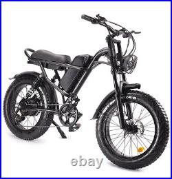 Electric Bike Fat Tire Bicycle 48V 15.6Ah 500W Shimano 7 Speed Long Range Ebike