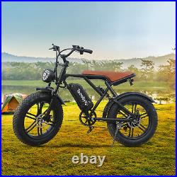 Electric Bike for Adults, 750W Electric Bicycle, 20×4 Fat Tire Mountain Ebike