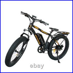 Electric Fat Tire Bicycle 750W Motor 48V Ebike Mountain Beach Cycling