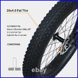 Electric Fat Tire Bicycle 750W Motor 48V Ebike Mountain Beach Cycling