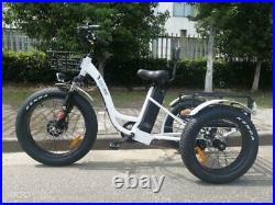 Electric Fat Tire Tricycle/Trike, 500W 48V Hybrid Bicycle/E-Bike with Lithium