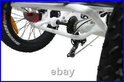 Electric Fat Tire Tricycle/Trike, 500W 48V Hybrid Bicycle/E-Bike with Lithium