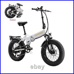 Electric Folding Mountain Bicycle ebike 750W Peak Motor 20''4.0'' Fat Tire Hot
