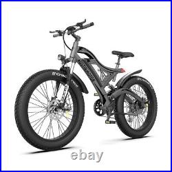 Electric Mountain Bike S18 Ebike 750W Motor 48V 15Ah Fat Tire Bicycle Beach Ride