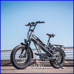 ElectricBike 20x4.0 Fat Tire Mountain Snow Beach EBike48V 750W Electric Bicycle