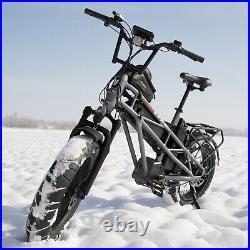 ElectricBike 20x4.0 Fat Tire Mountain Snow Beach EBike48V 750W Electric Bicycle