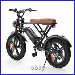 Fat Tire Ebike, Electric Bicycle Off Road E-Bike Retro Electric Mountain Bike