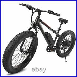 Fat Tire Electric Bike Powerful Removable Lithium Battery Ebike 500W 48V/10AH