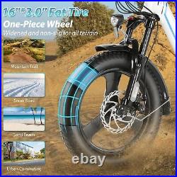Folding Ebike 16'' 350W 48V7.8Ah Electric Bike 3.0 Fat Tire City Beach Bicycle