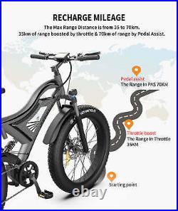 GLW 750W Electric Mountain Bike 48V Samsung Battery 264 Fat Tire E-Bike S18