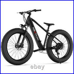 Hiboy Electric Bike Bicycles Adults Fat Tire Dirt Ebike 750W Mountain City Bike