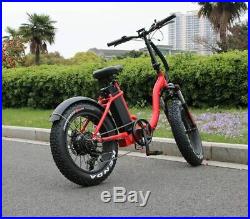 Leili 750with48v Bafang Two Seater Fat Tire Folding Electric Bicycle Ebike Scooter