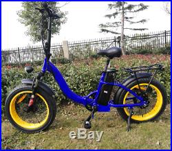 Leili 750with48v Bafang Two Seater Fat Tire Folding Electric Bicycle Ebike Scooter
