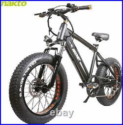 NAKTO 20 350W48V8AH Fat Tire Electric Bike for Adults SnowithMountain E-bike