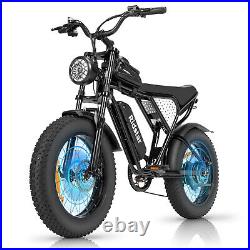 Ridstar 1000/1200/1500/2000W Electric Bike 15/20/40Ah City Snow Mountain e-Bike