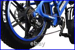 SHELBY Signature Series e-Bike 750W 48V Electric Bike ebike