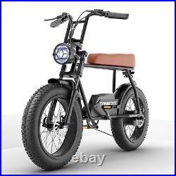 Tomofree Electric Bike 20 Fat Tire Ebike Bicycle 48V 18Ah 1200W 30mph FG20