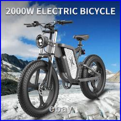 XQS-Explorer 20 Inch Fat Tire Bike 2000W Beach Ebike Snow Adult Electric Bicycle